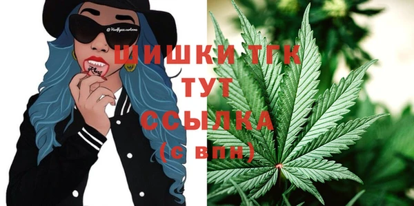 шишки Приозерск