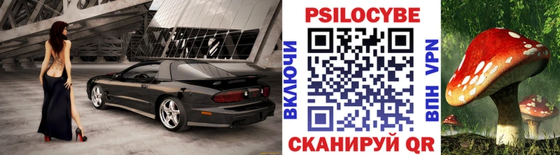 Галлюциногенные грибы Psilocybine cubensis  магазин    Россошь 