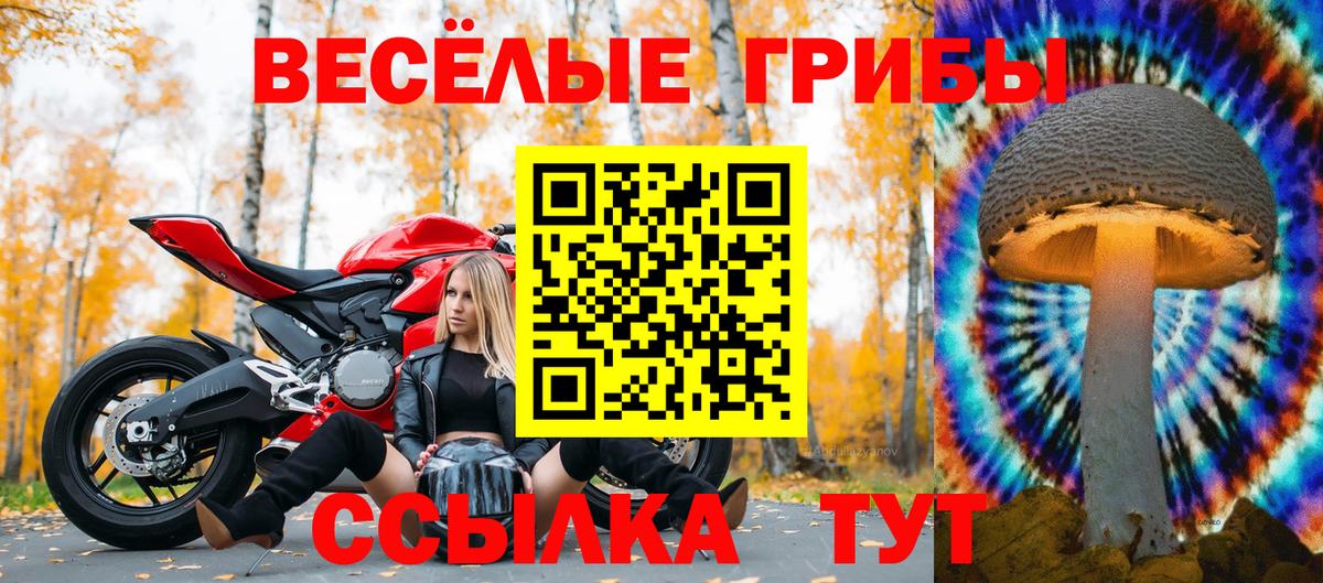 Галлюциногенные грибы Psilocybe  Галлюциногенные грибы мухоморы  Вход с VPN  Россошь 